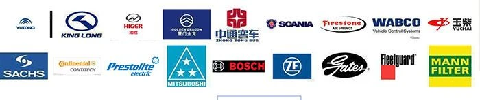 Weichai Engine Parts Supplier