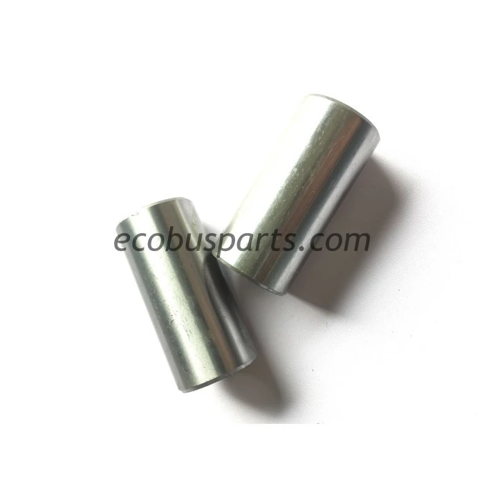 Pin Leaf Spring